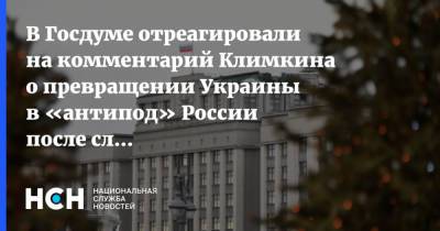 В Госдуме отреагировали на комментарий Климкина о превращении Украины в «антипод» России после слов Путина