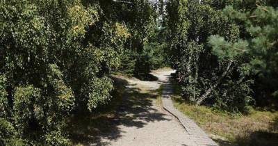 В Гурьевском районе нашли мёртвой 35-летнюю женщину, которая уехала на авто и пропала
