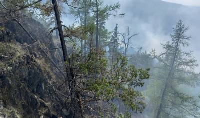В Башкирии вторые сутки горит лес, огонь помогают тушить даже местные жители