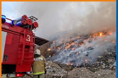 Появились кадры с места крупного пожара на свалке в Рязани