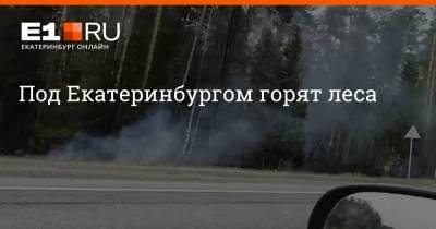 Под Екатеринбургом горят леса