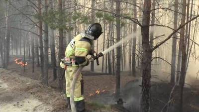 Новости на "России 24". В лесных пожарах не всегда виновата природа: МЧС проводит рейды