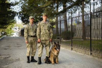 В Крыму на тренировке служебных собак случайно задержали наркоторговца
