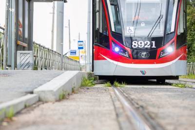 Петербуржцев предупредили об изменениях ряда трамвайных маршрутов 16 мая