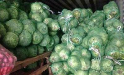 В Тюменской области задержали машины с опасными овощами