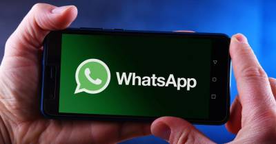 Хинштейн: в России не планируют ограничивать работу WhatsApp