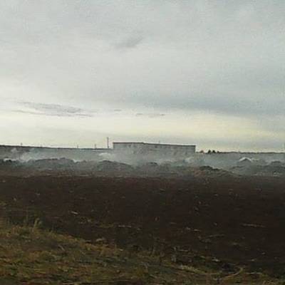 Школьницы сожгли ферму в Пермском крае ради ролика для TikTok