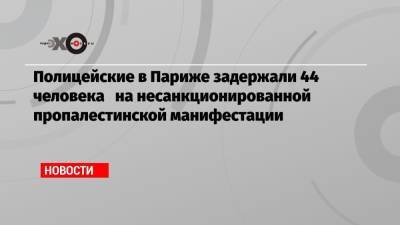 Полицейские в Париже задержали 44 человека на несанкционированной пропалестинской манифестации