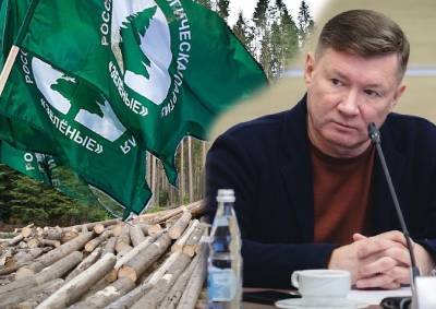 Новый лидер партии «Зелёные» объявил о борьбе с незаконными свалками и вырубкой лесов