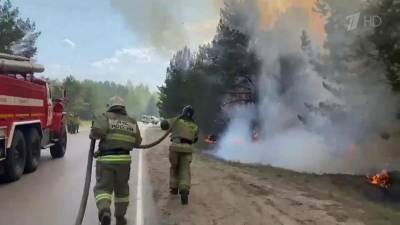 В России увеличивается площадь природных пожаров
