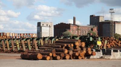 Депутат Дятлов оценил идею о заморозке экспорта древесины в России
