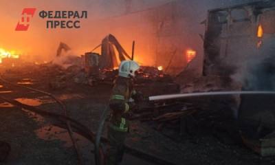 Возгорание пилорамы и садовых домов в Екатеринбурге локализовали