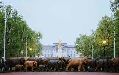 К Букингемскому дворцу "пригнали" стадо деревянных слонов