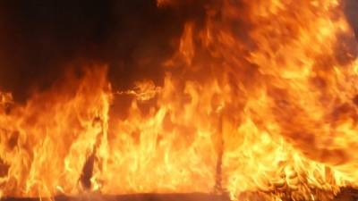 Пассажирский автобус сгорел посреди дороги в Ростове-на-Дону — видео