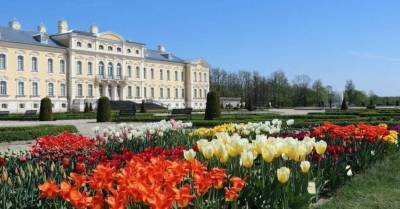 ФОТО. Сад Рундальского замка заполнили прекрасные тюльпаны и нарциссы