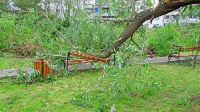 Шесть человек получили травмы из-за грозы и ветра в Москве