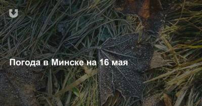 Погода в Минске на 16 мая - news.tut.by - Минск - Минская обл.