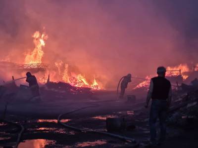 В Екатеринбурге выясняют причины пожара, уничтожившего 16 садовых домов и пилораму