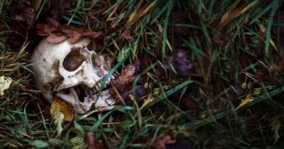 Девушки пришли на кладбище и нашли в траве человеческий череп