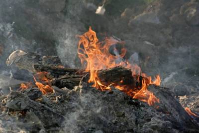 В Ярославской области сгорела депутатская баня