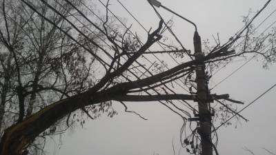 Ветер оставил без электричества уже более 50 тыс. нижегородцев