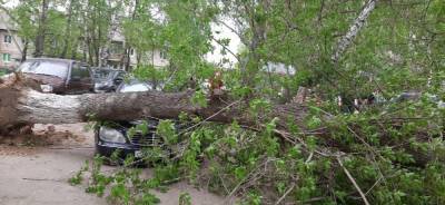 Ураган в Нижегородской области повалил деревья на дороги и автомобили