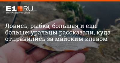 Ловись, рыбка, большая и еще больше: уральцы рассказали, куда отправились за майским клевом