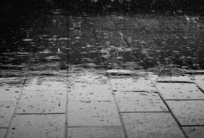 Дожди и грозы: синоптик рассказал, чего ждать от погоды петербуржцам 16 мая