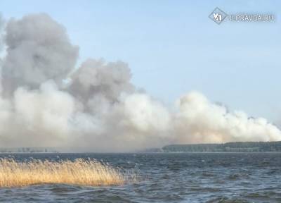 У Садовки пожарные службы спасли лес от огня