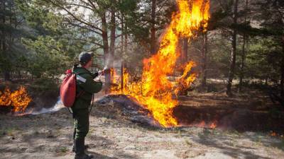 В Тюменской области ликвидировали крупный лесной пожар
