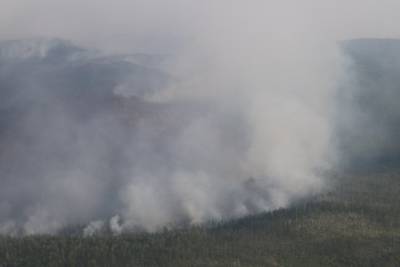 Пожарные тушат лесной пожар недалеко от села Алия в Балейском районе
