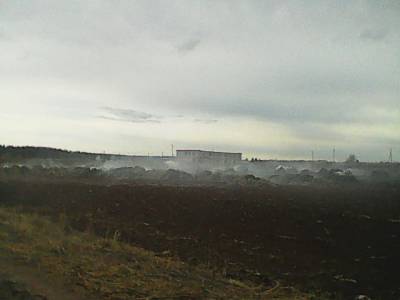 Пермские школьницы, снимая ролик для TikTok, сожгли почти 200 тонн соломы – Учительская газета
