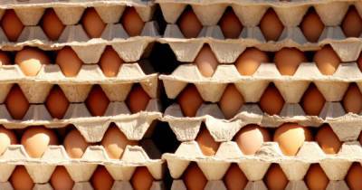 В Украине подешевели яйца: какие цены в регионах