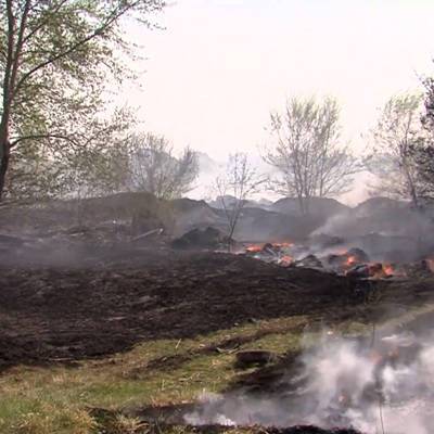 В Тюменской области ликвидировали лесной пожар площадью 44 тыс. га