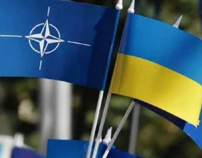 НАТО медлит с предоставлением Украине ПДЧ из-за страха перед Россией, – американский дипломат