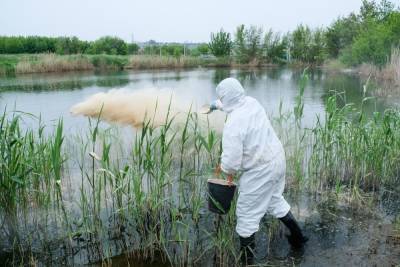 161 водоем в Волгоградской области обработают от комаров и клещей