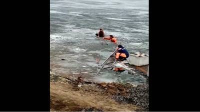Спасатели выручили юного любителя прогулок по тонкому льду. Видео