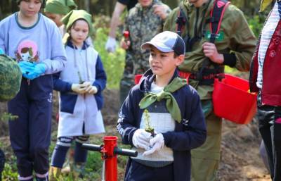 Более 2 тысяч елей вырастут в Тверской области после Всероссийского дня посадки леса
