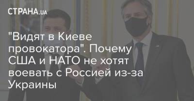 "Видят в Киеве провокатора". Почему США и НАТО не хотят воевать с Россией из-за Украины