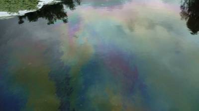 В почву и реку в Коми вылилось 90 тонн нефтесодержащей жидкости