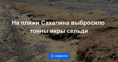 На пляжи Сахалина выбросило тонны икры сельди