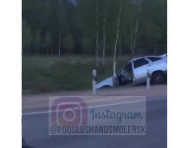 В Смоленской области автомобиль столкнулся с лосем