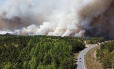 В районе озера Андреевское загорелся лес
