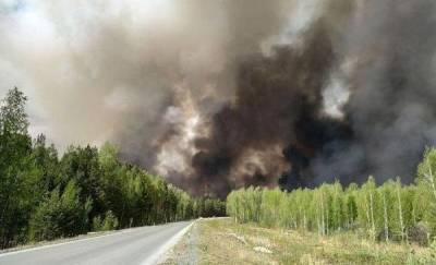 В МЧС рассказали, как тушат крупный пожар у озера Андреевское