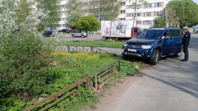На улице Есенина дама за рулем "Митцубиси" снесла забор и вишню