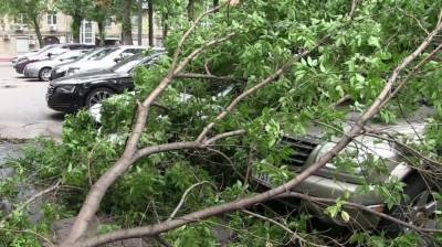 Шесть человек получили травмы из-за сильного ветра и грозы в Москве