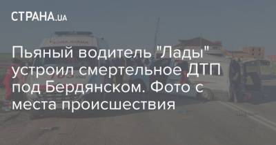 Пьяный водитель "Лады" устроил смертельное ДТП под Бердянском. Фото с места происшествия