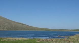Жители приграничных сел Армении пожаловались на проблемы с доступом к пастбищам и воде