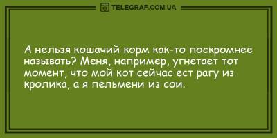 Позитивные анекдоты на вечер 16 мая, которые вас рассмешат - ТЕЛЕГРАФ - telegraf.com.ua
