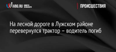 На лесной дороге в Лужском районе перевернулся трактор – водитель погиб